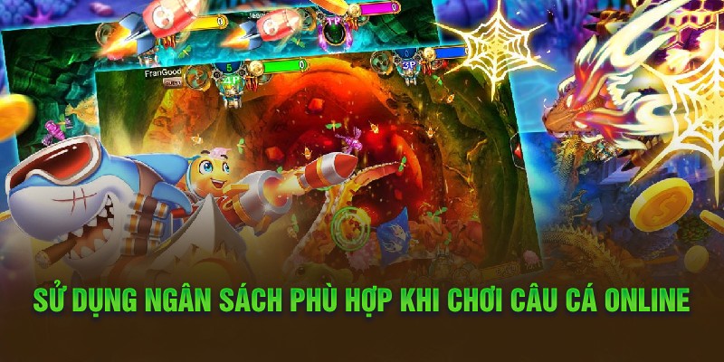 Sử dụng ngân sách phù hợp khi chơi câu cá online