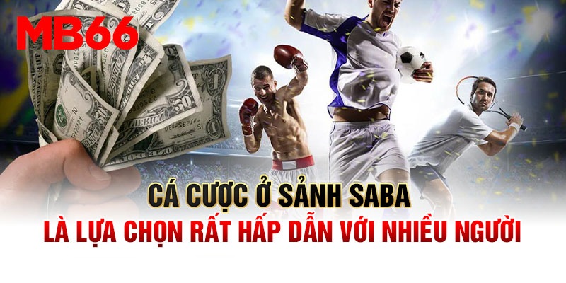 Tổng quan về sân chơi cá cược hàng đầu sảnh Saba