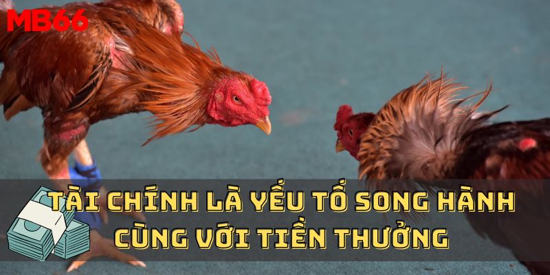 Tài chính là yếu tố song hành cùng với tiền thưởng